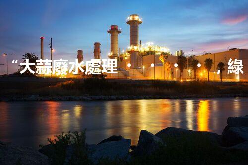 “大蒜廢水處理，綠色環(huán)保新篇章”